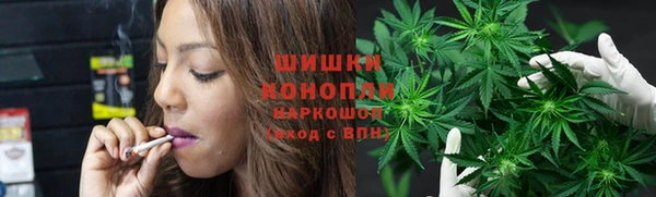 крисы Карпинск