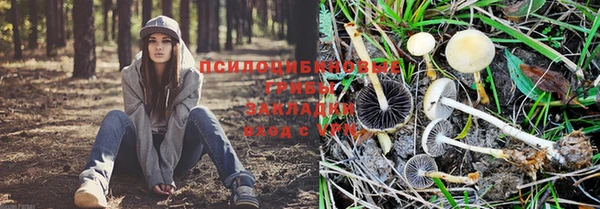 прущая мука Карталы