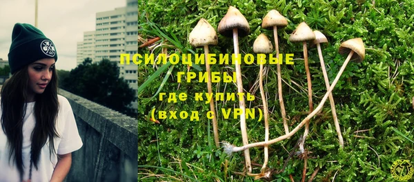 синтетический гашиш Касимов