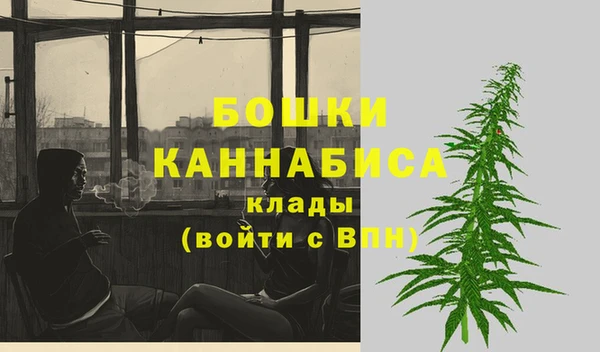 крисы Карпинск